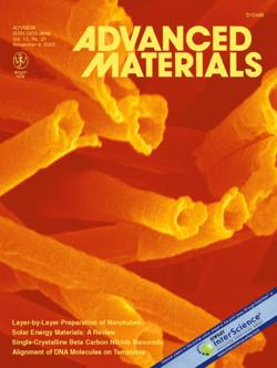 Nanotubes Prepared by Layer-by-Layer Coating of Porous Membrane Templates