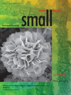 Ternary Sn-Ti-O Based Nanostructures as Anodes for Lithium Ion Batteries