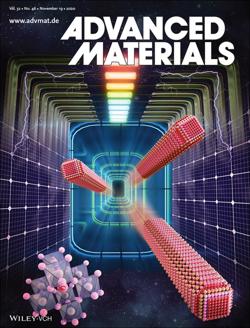 Metal Halide Perovskite Nanorods: Shape Matters
