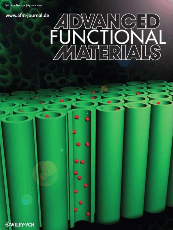 Cover artwork for the paper in Advanced Functional Materials 2012