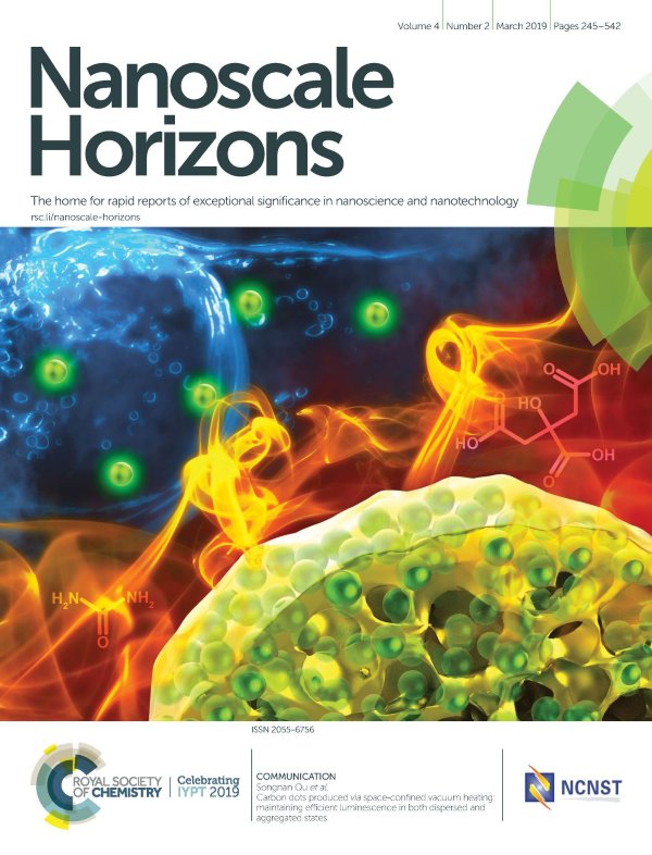Cover artwork for the paper in Nanoscale Horizons 2018