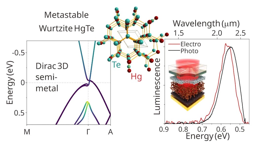 TOC image from the paper by Dr. Kseniia A. Sergeeva on HgTe nanocrystals for infrared LEDs published in ACS Nano in March 2026