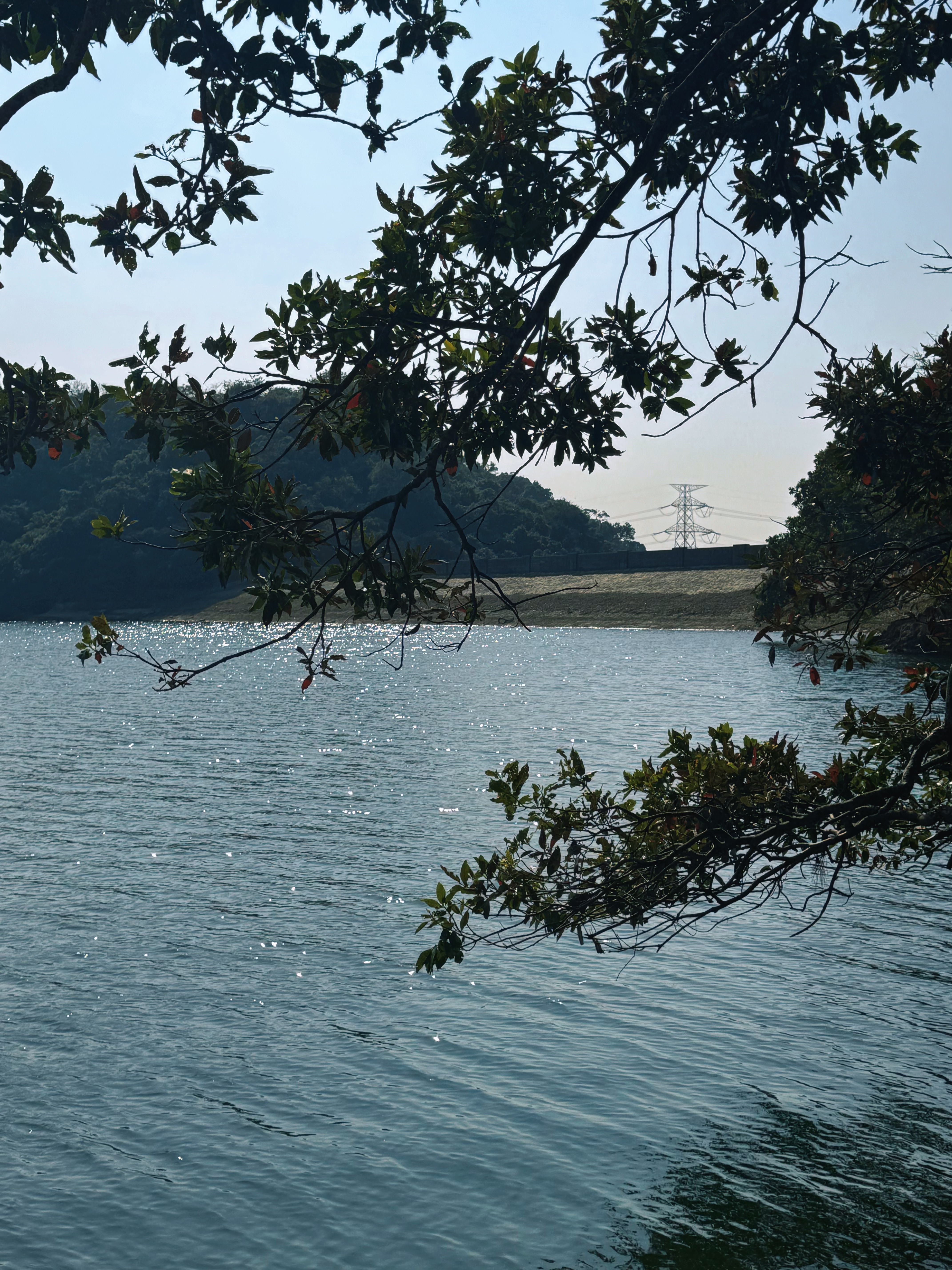 Scenic view of Shing Mun Reservoir