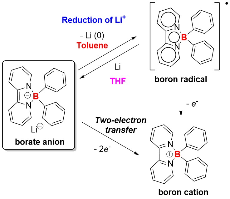 Redox transformations of borate anion showing reduction of Li+ and electron transfer pathways